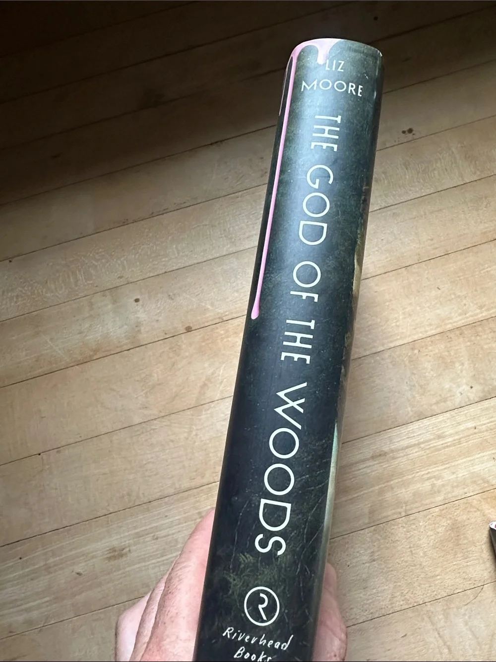 Liz Moore The God of the Woods - Green Cover Novel